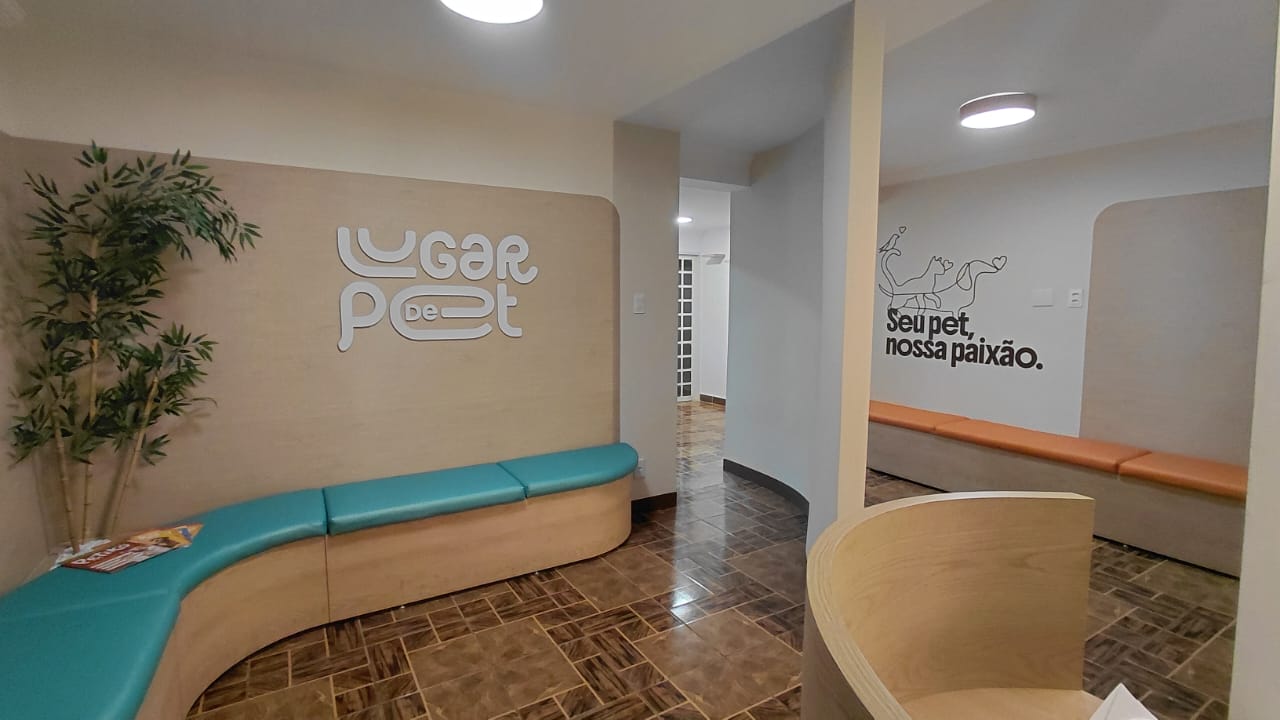 Sala de Espera para Cães, possui um banco em madeira orgnânico, em formato de L e uma vitrine.