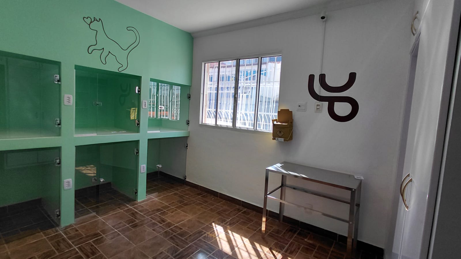 Internação Gatos - baias espaçosas e um espaço exclusivo para a internação dos felinos.